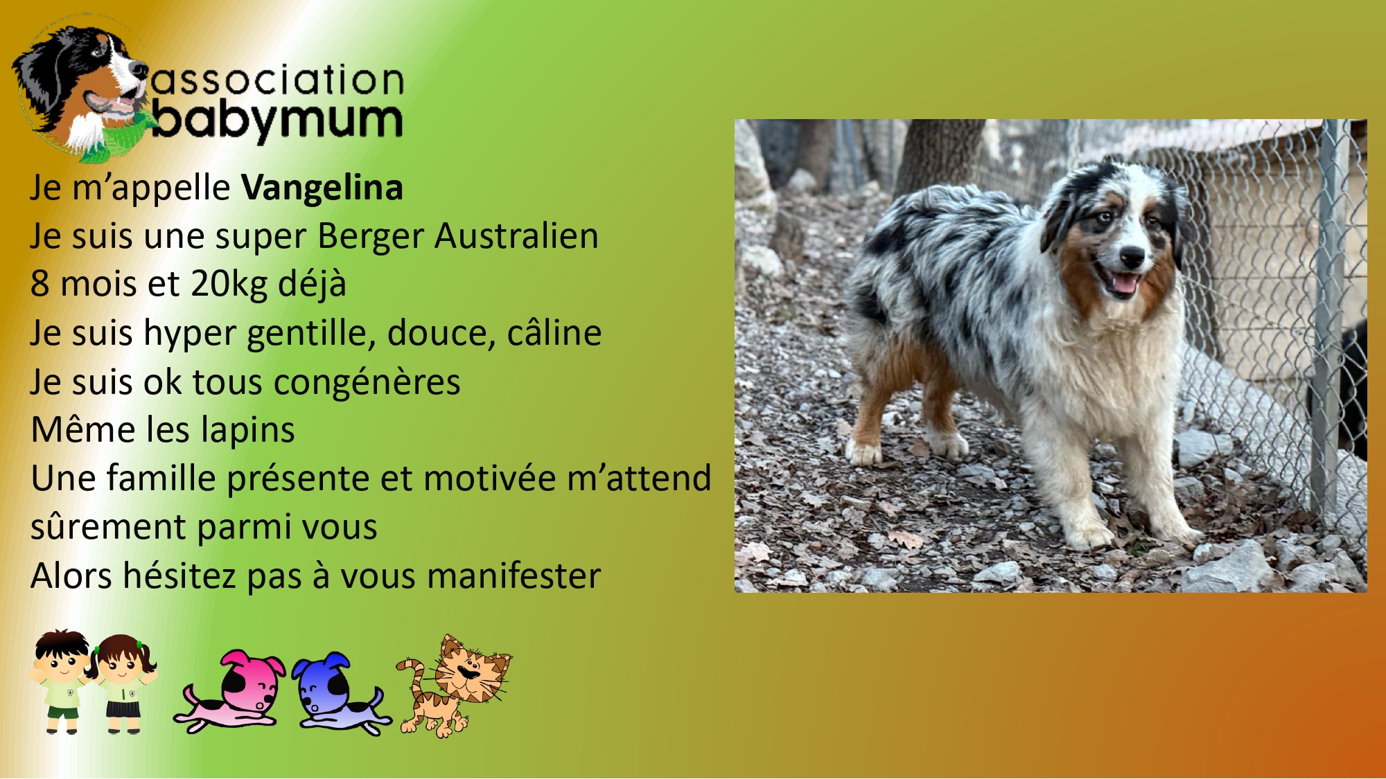 ADOPTEE LE 19/04/2025
