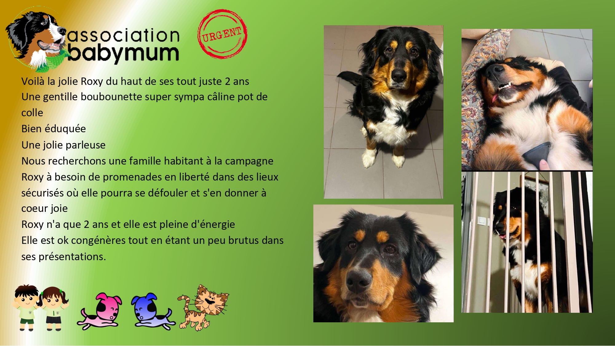 ADOPTEE LE 16/02/2025