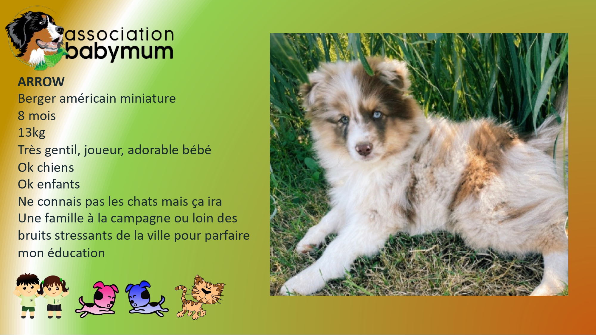 ADOPTE LE 22/03/2026