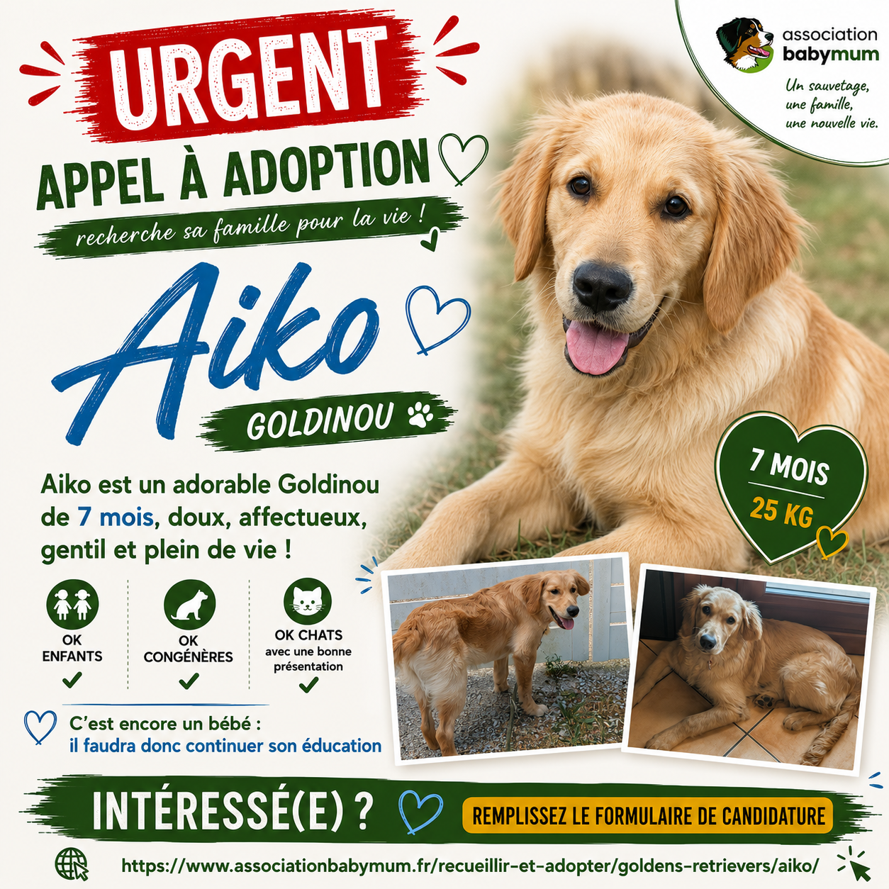 A L'ADOPTION