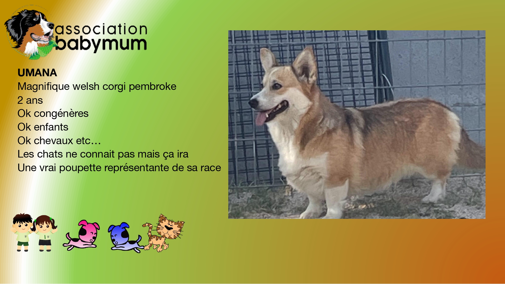 ADOPTEE LE 14/09/2025