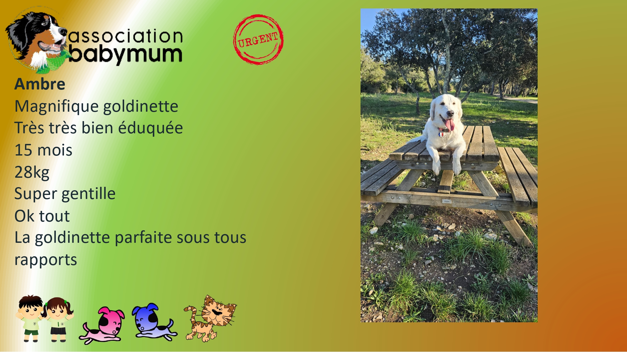 ADOPTEE LE 09/05/2026
