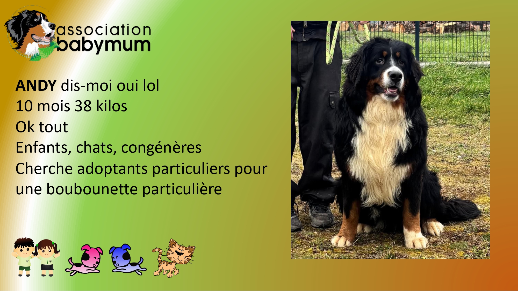 A l'ADOPTION