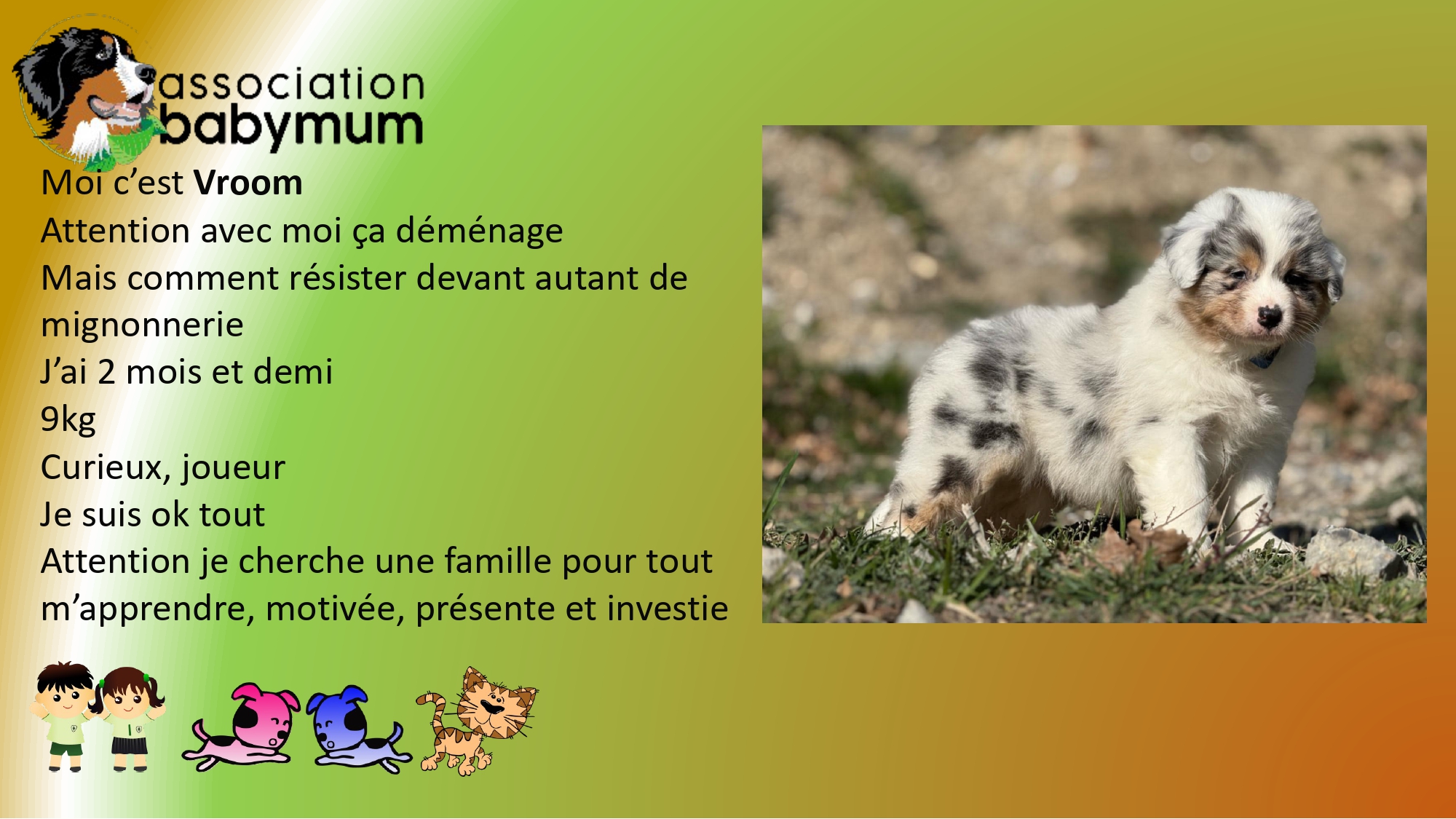 ADOPTE LE 30/05/2025