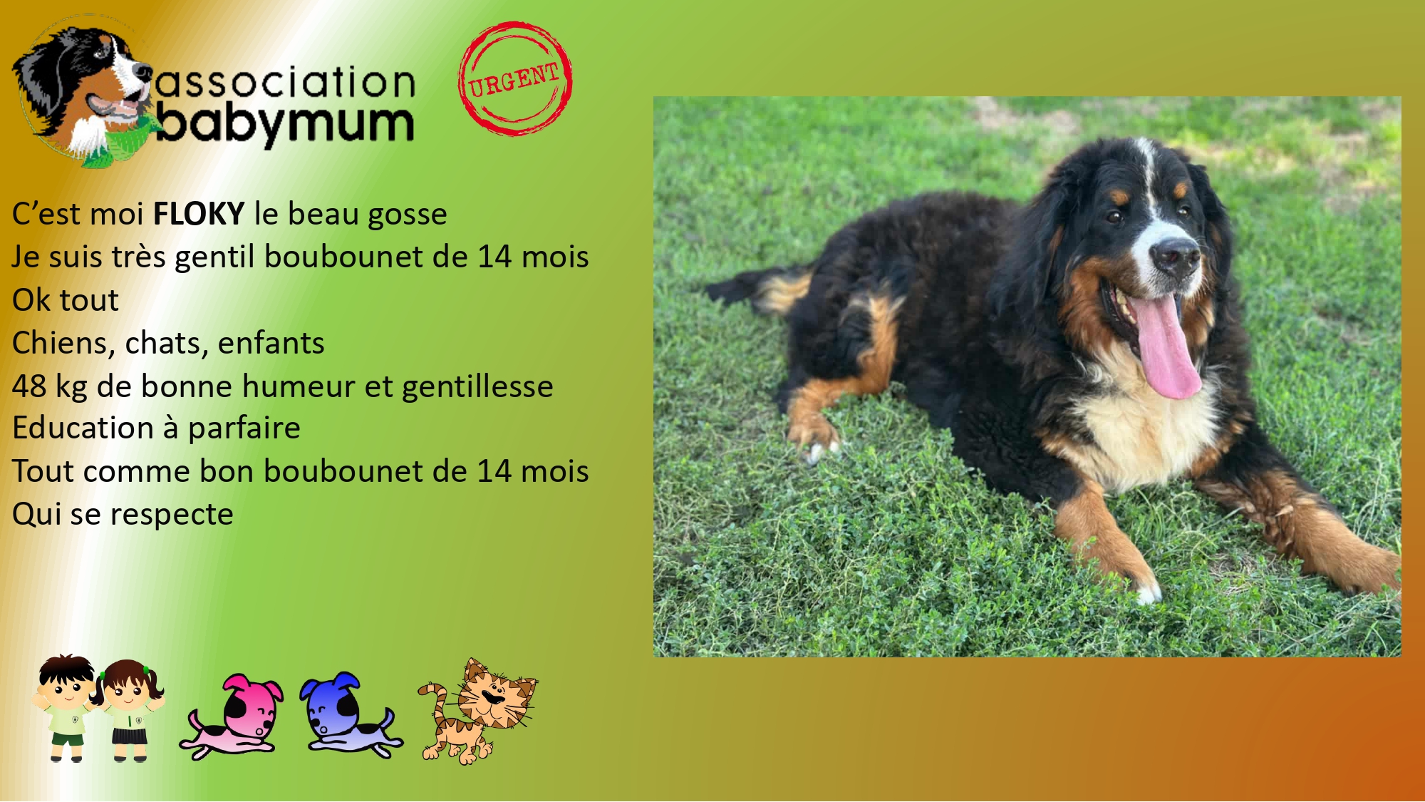 ADOPTE LE 21/09/2025