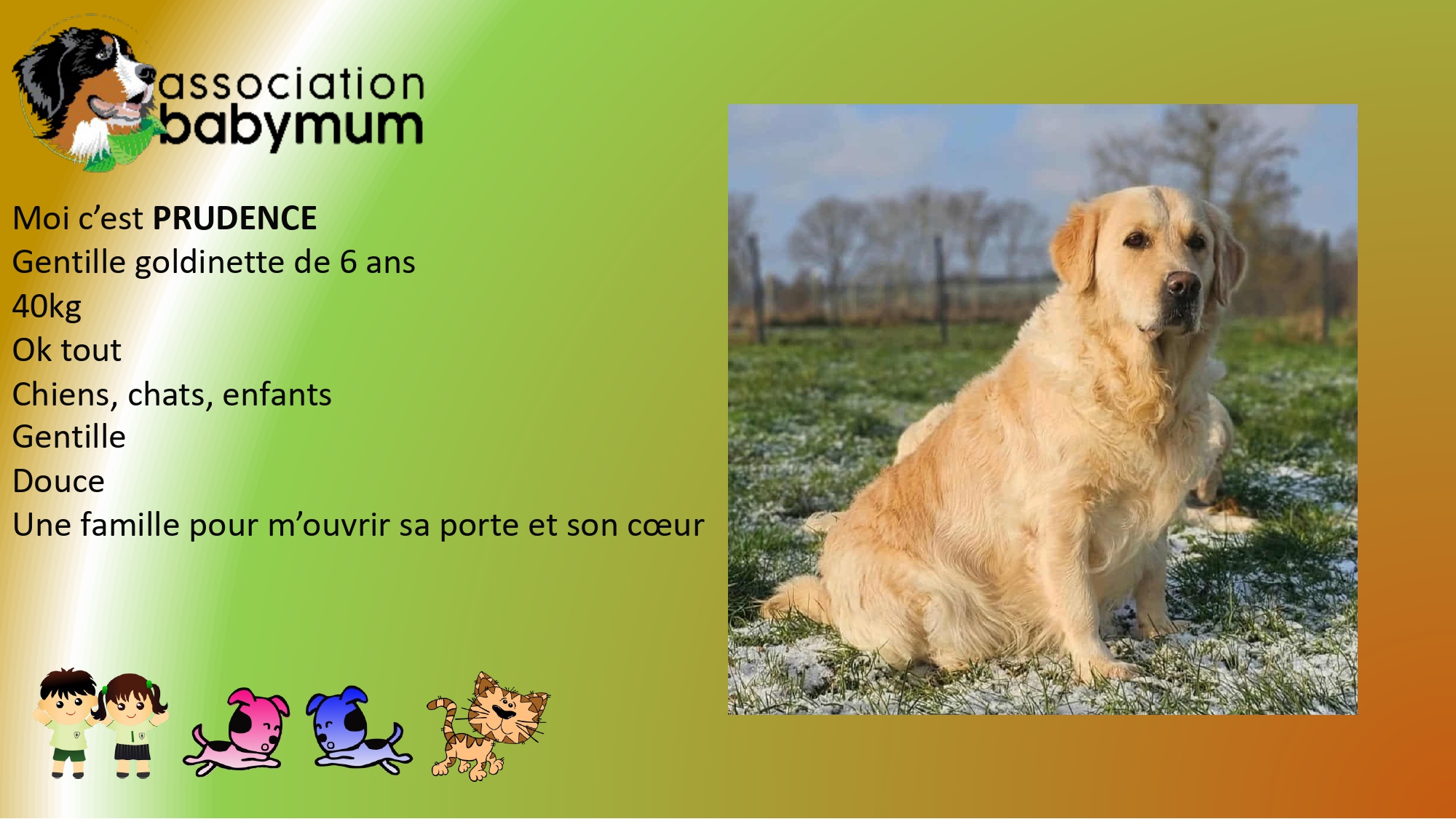 A L'ADOPTION