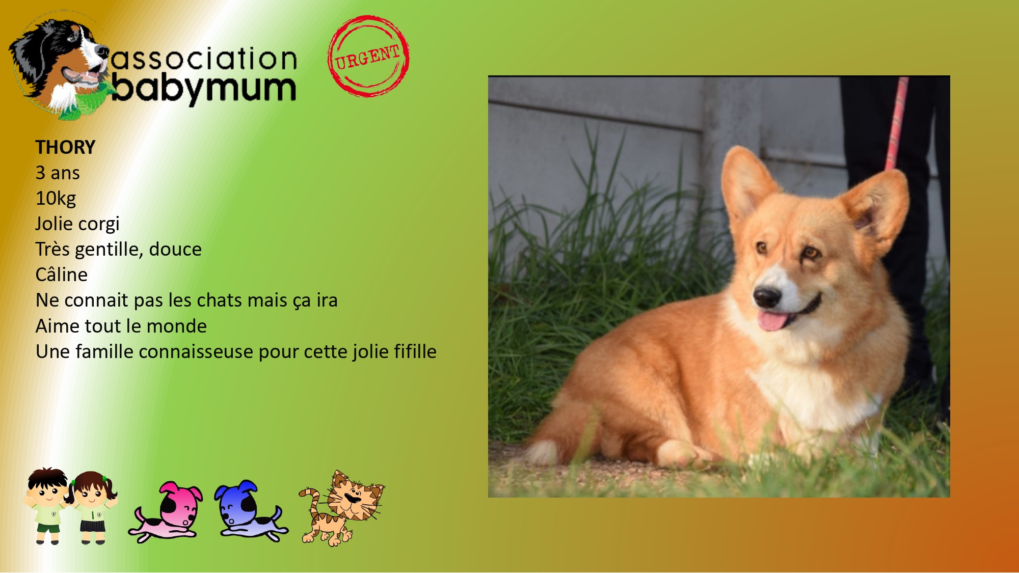 A L'ADOPTION