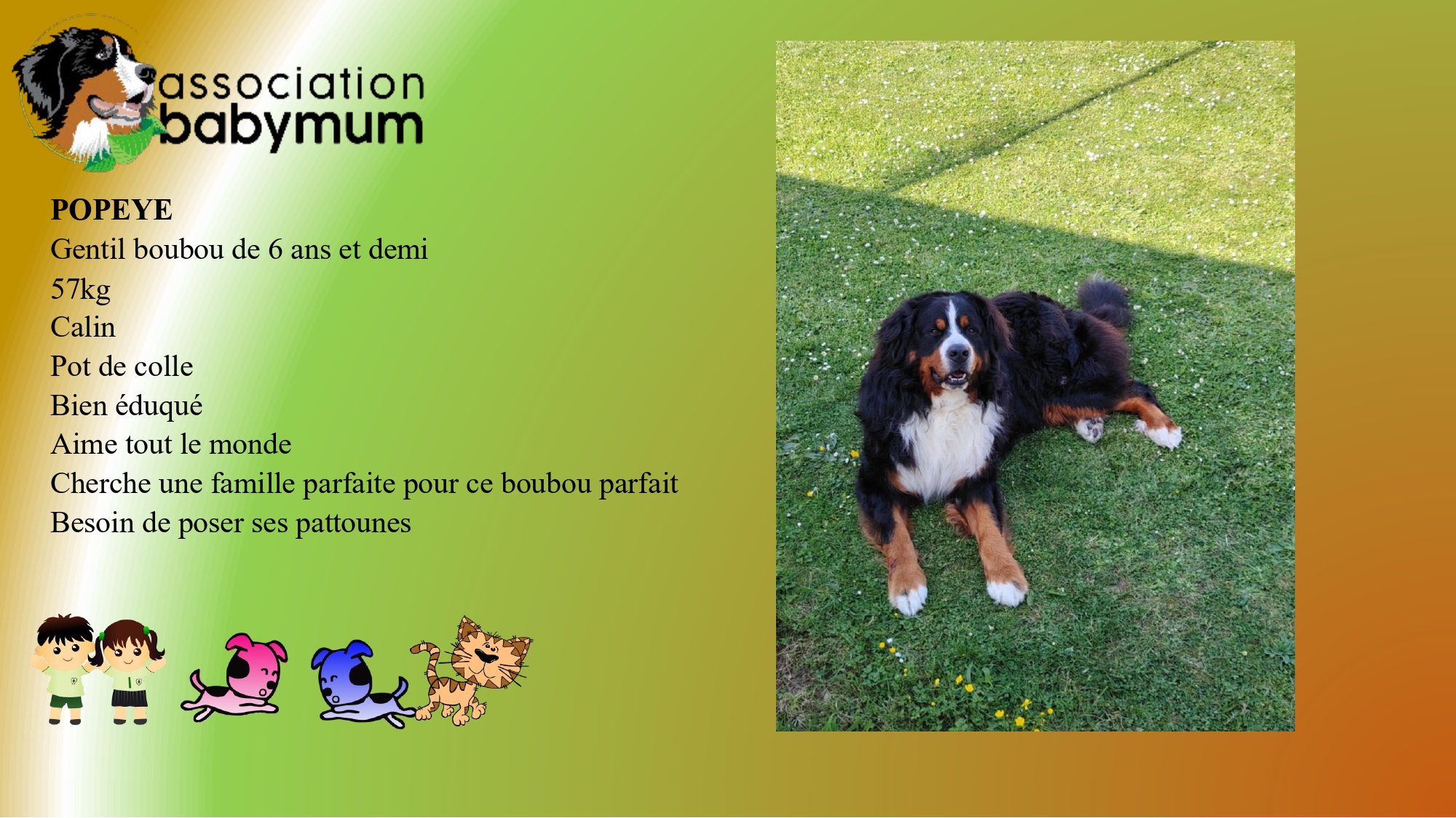 A L'ADOPTION