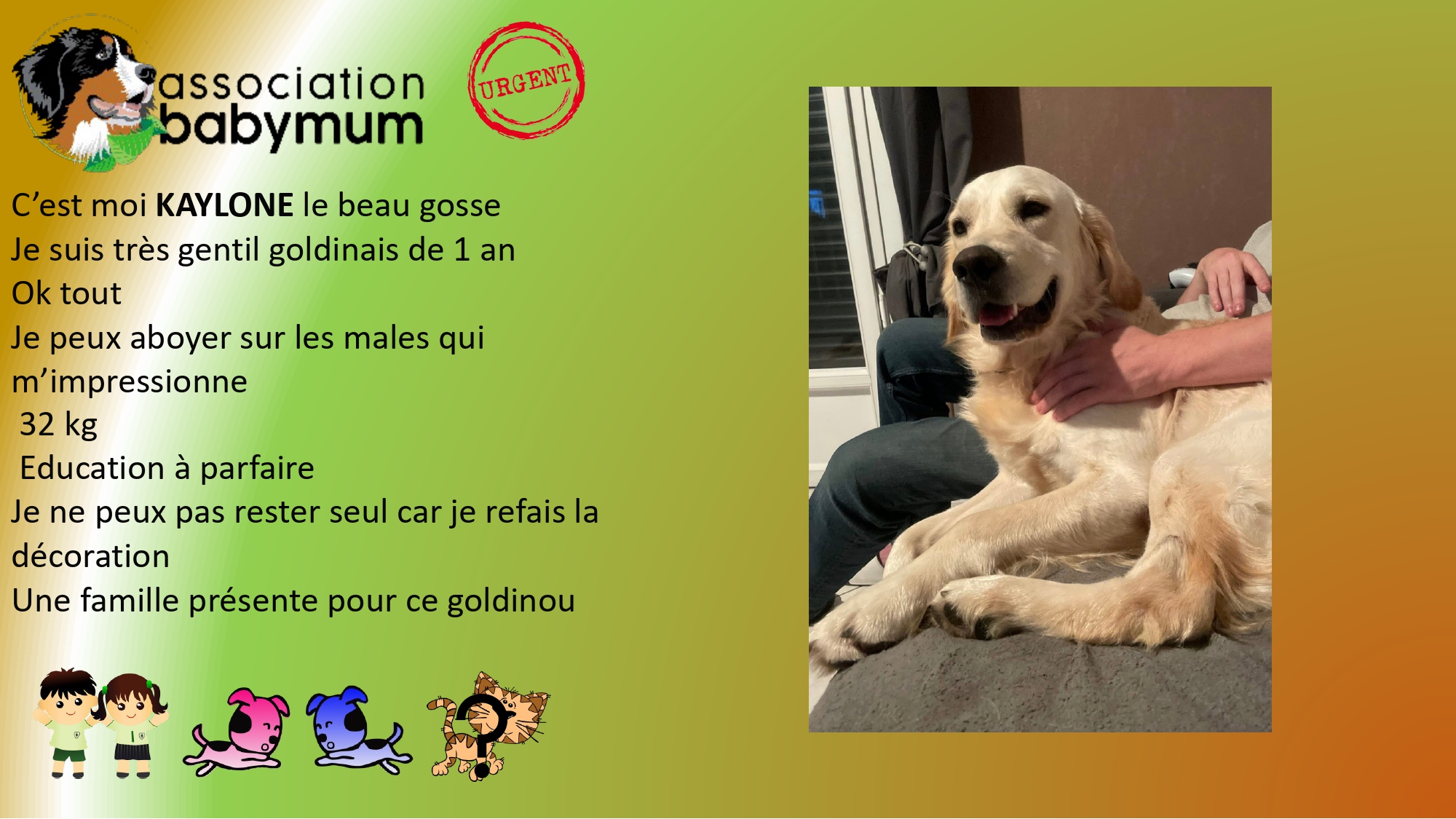 ADOPTE LE 30/10/2025