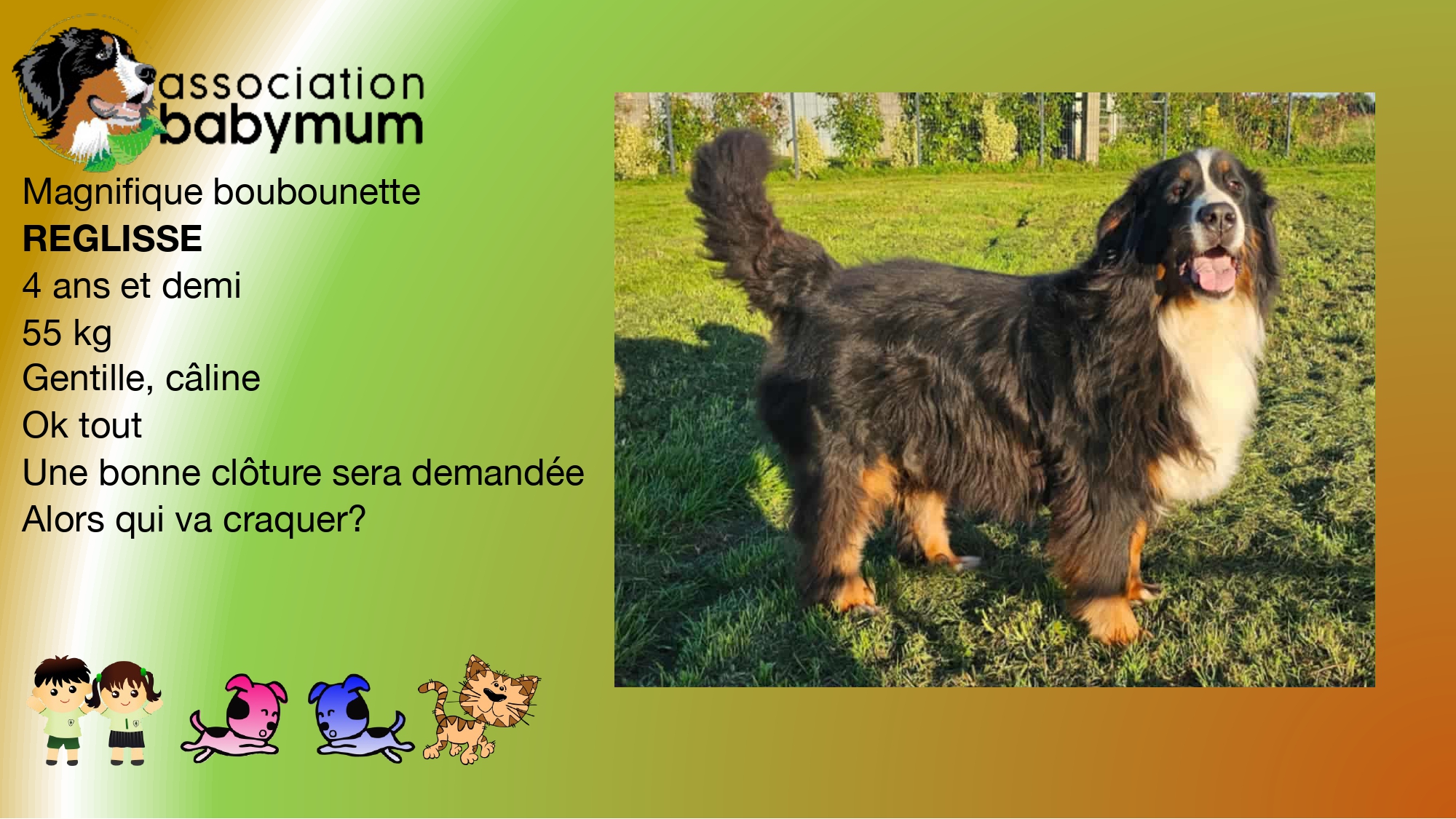 A L'ADOPTION