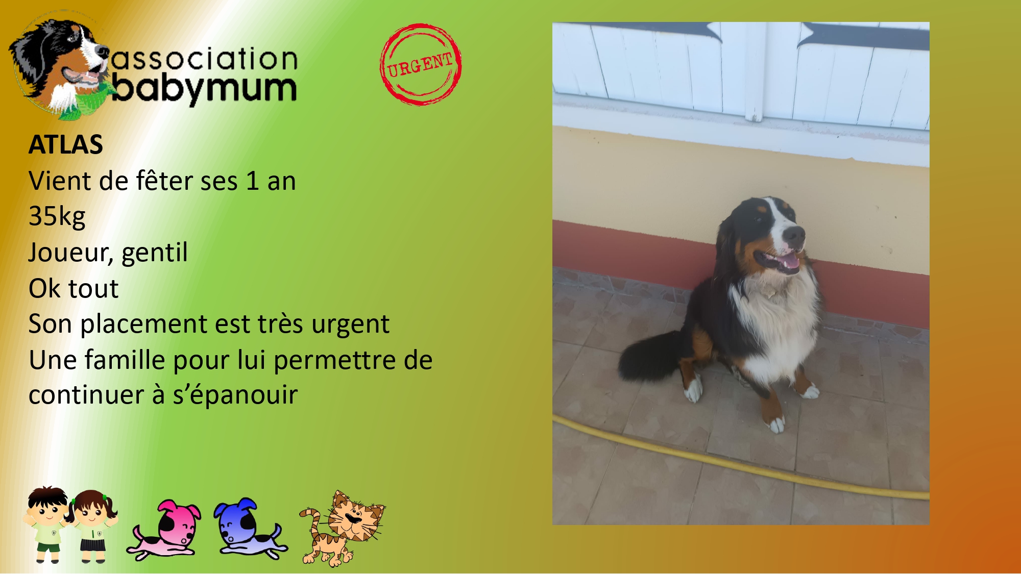 ADOPTE LE 13/07/2026