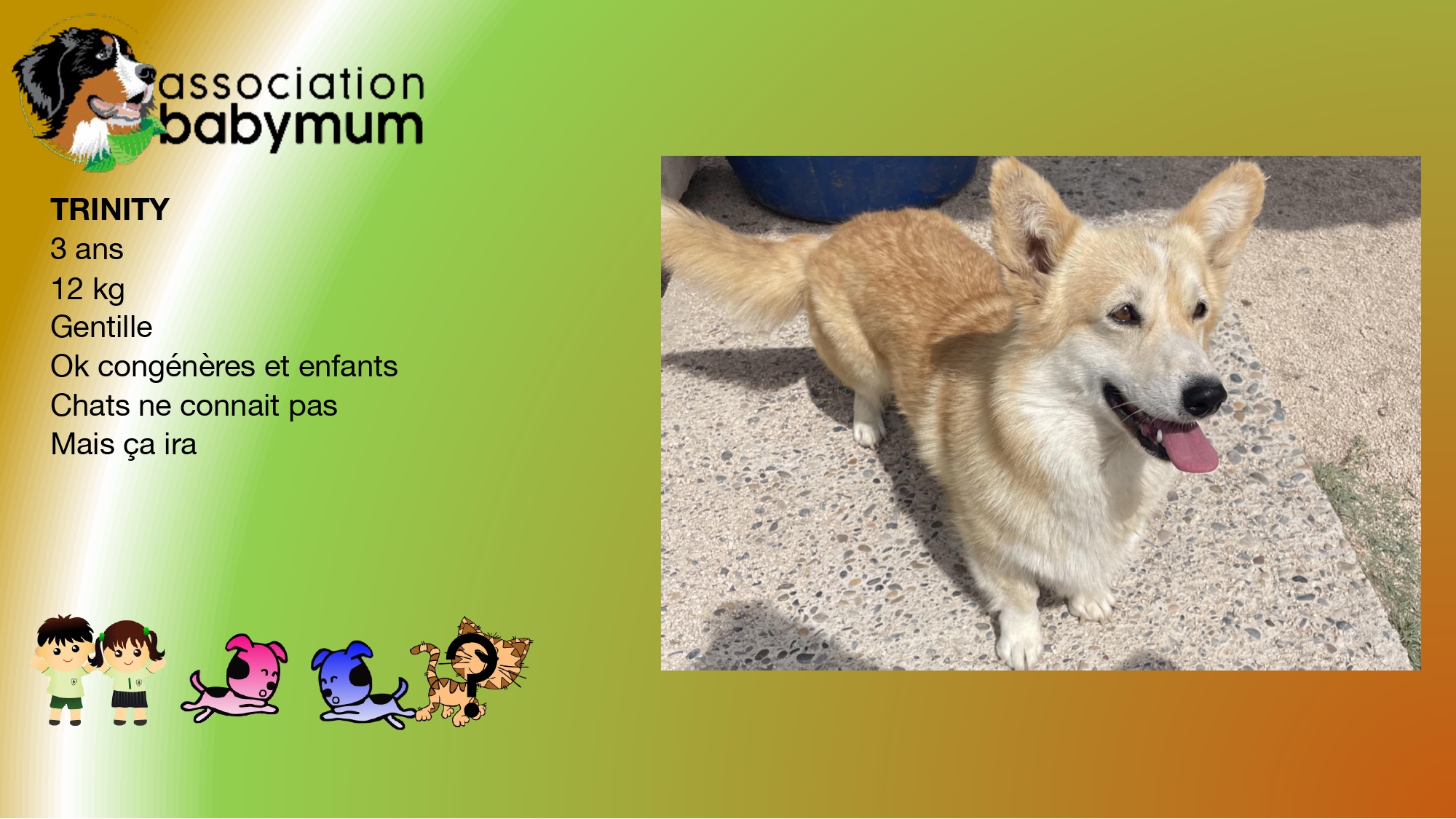 ADOPTEE LE 18/09/2025