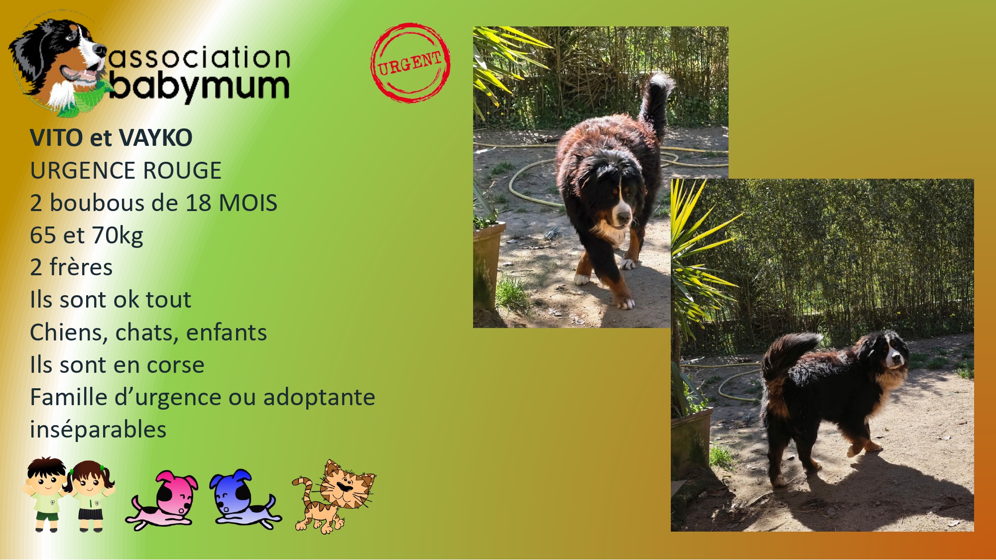 ADOPTES LE 25/05/2026