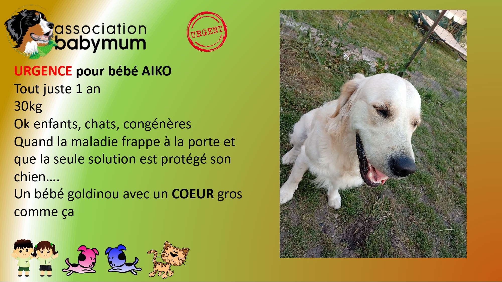 ADOPTE LE 5/06/2026