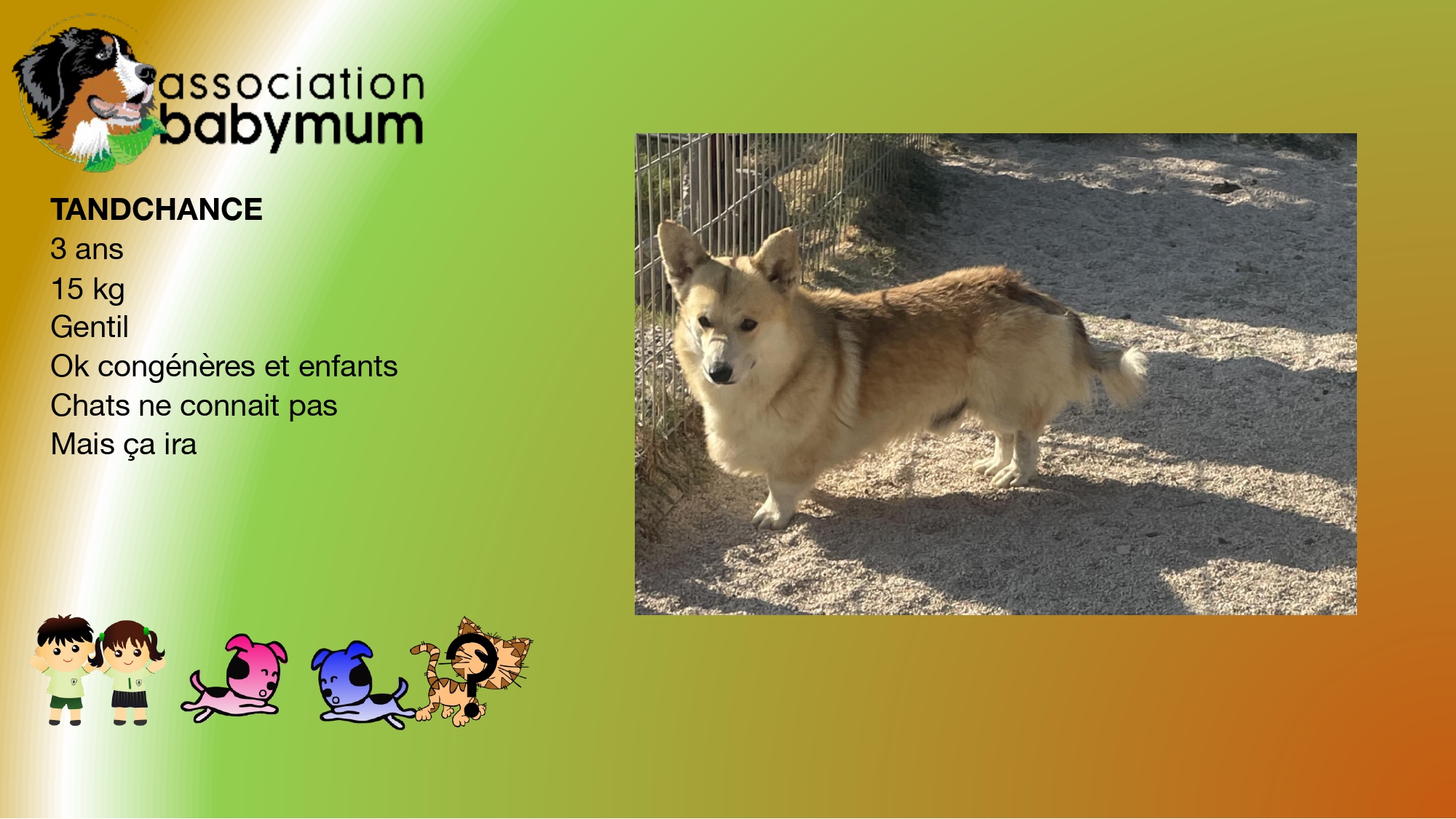 A L'ADOPTION