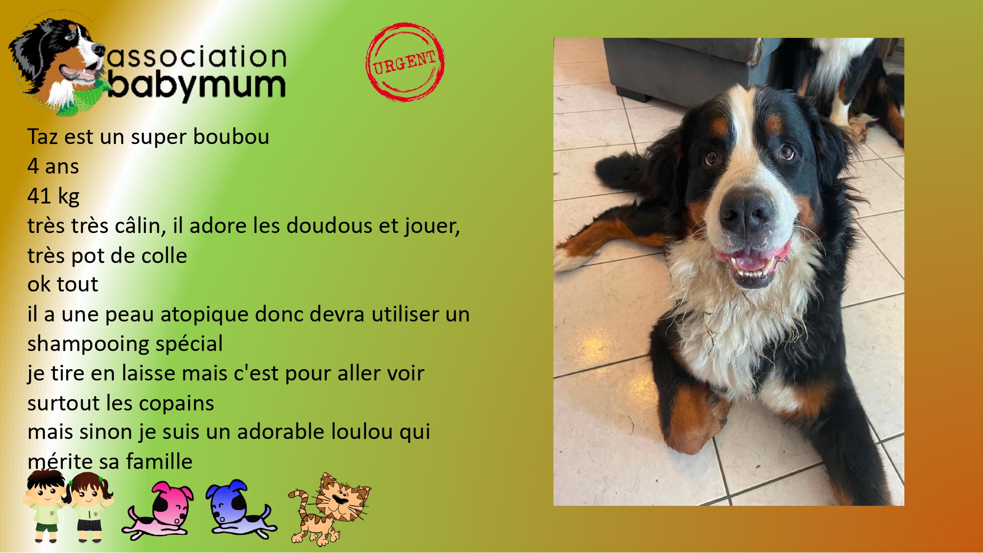 A L'ADOPTION PLACÉ EN FA D'URGENCE
