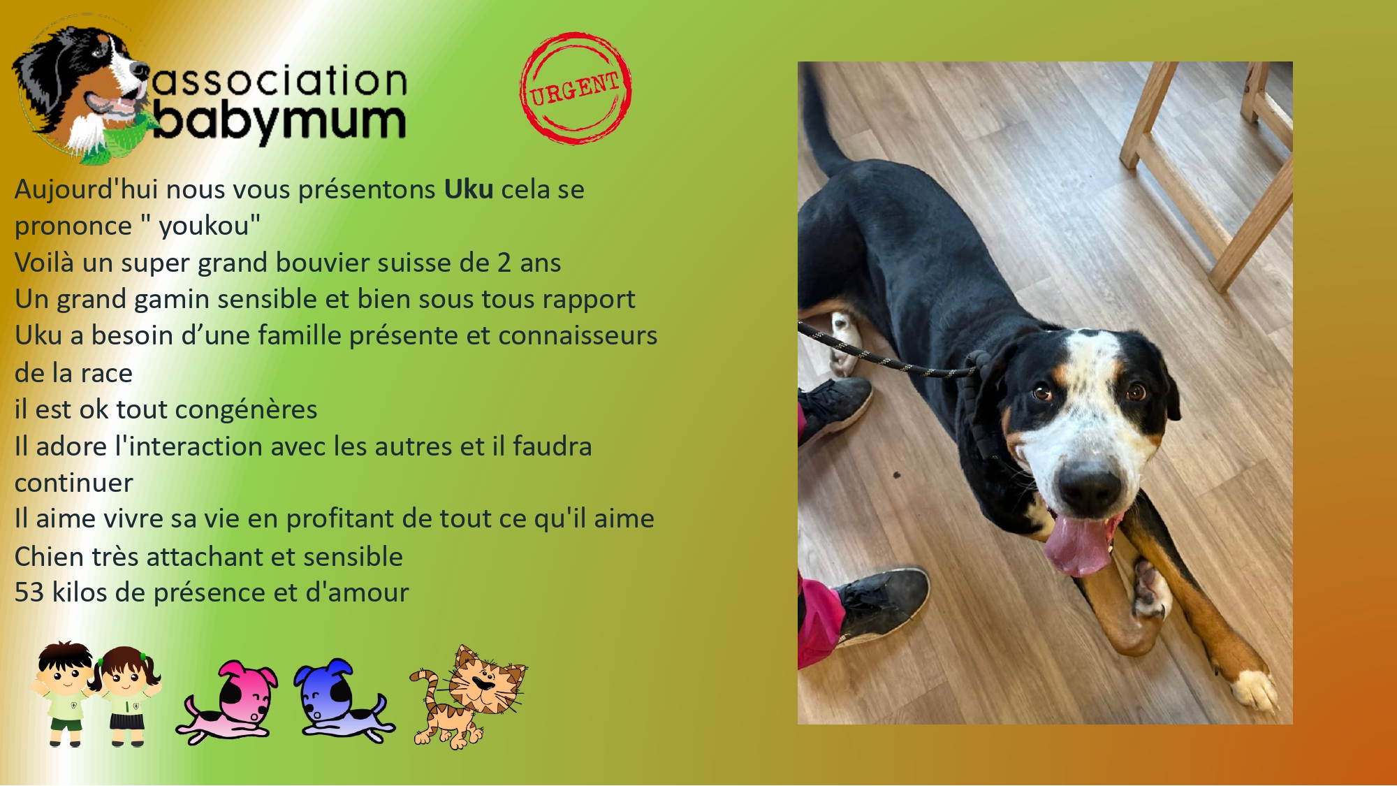 ADOPTE LE 30/03/2026