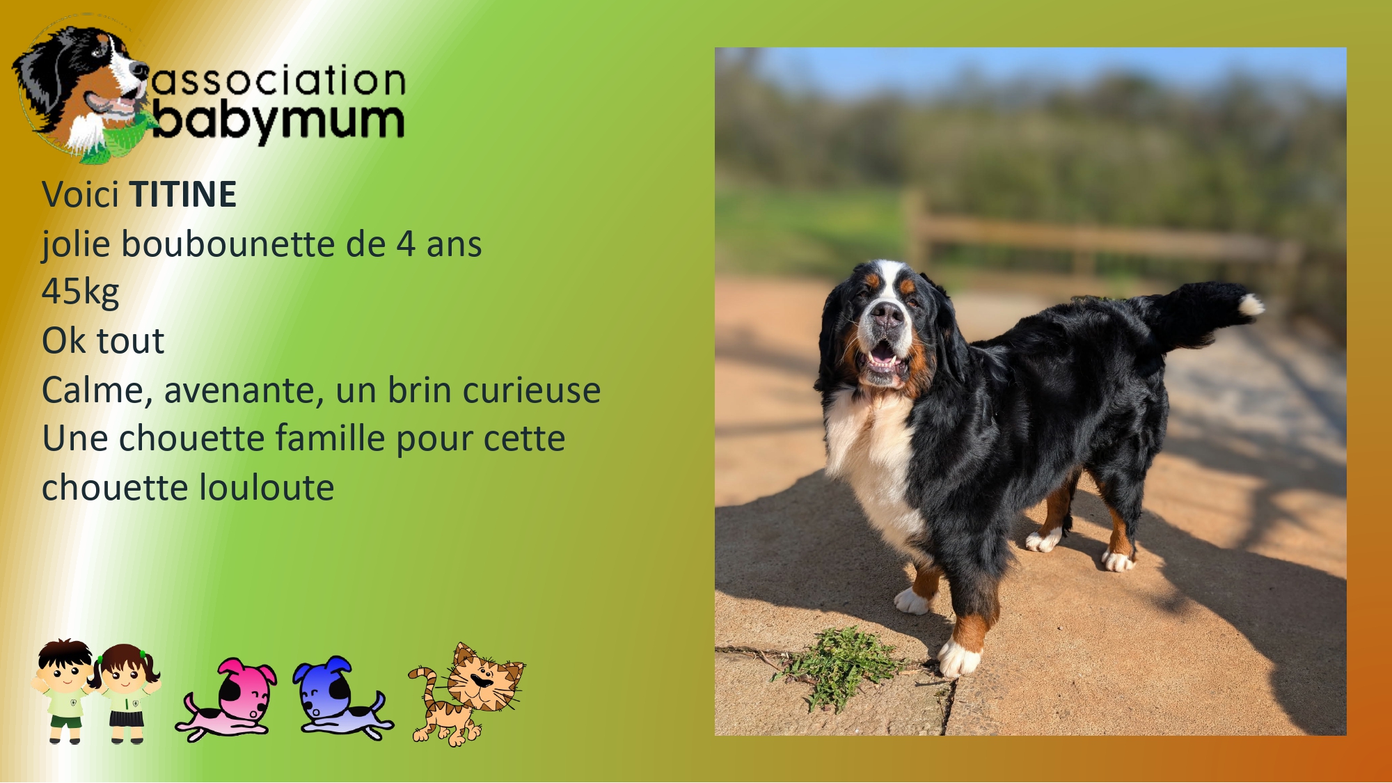 ADOPTEE LE 11/04/2026