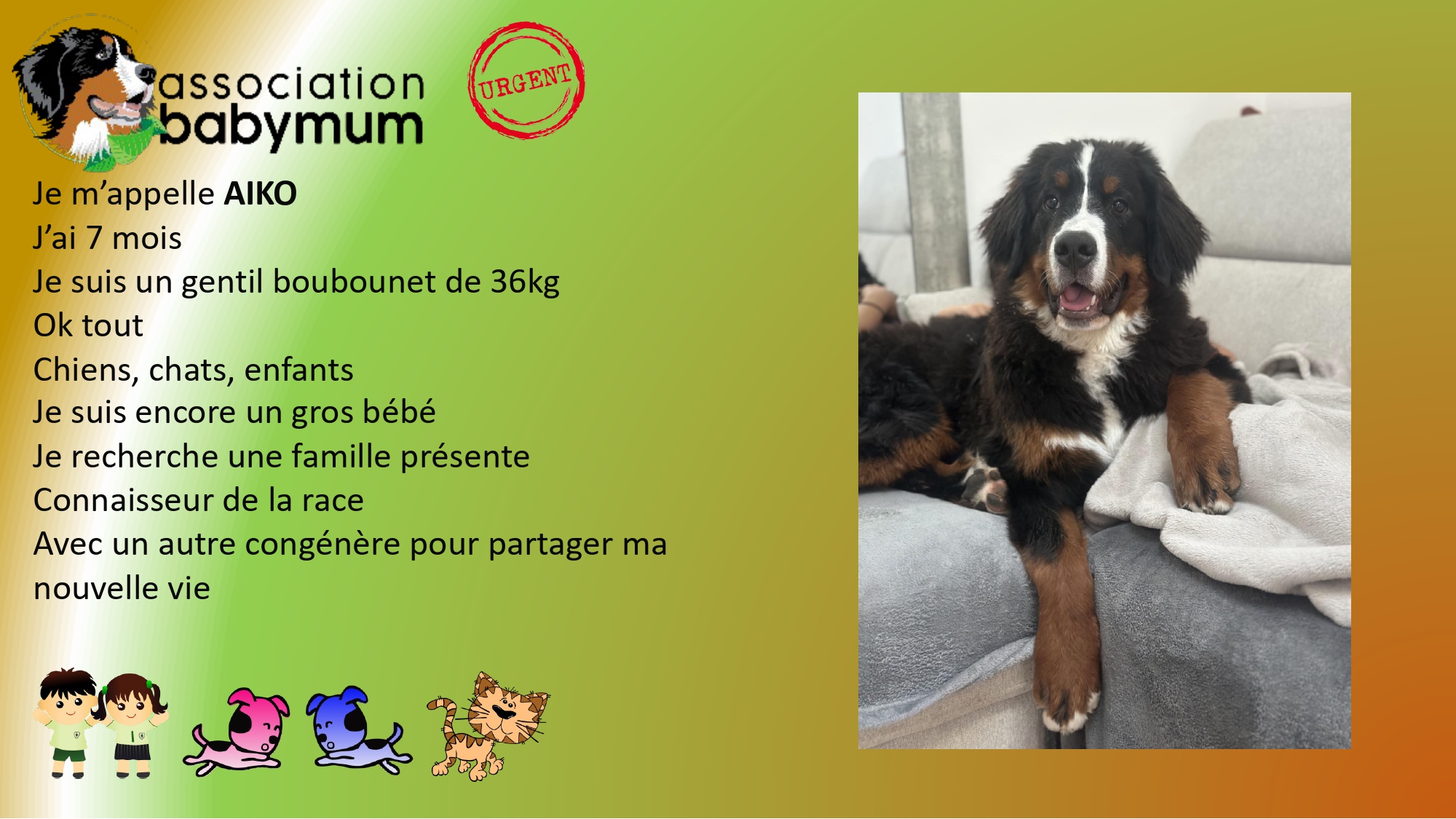 ADOPTE LE 01/10/2025