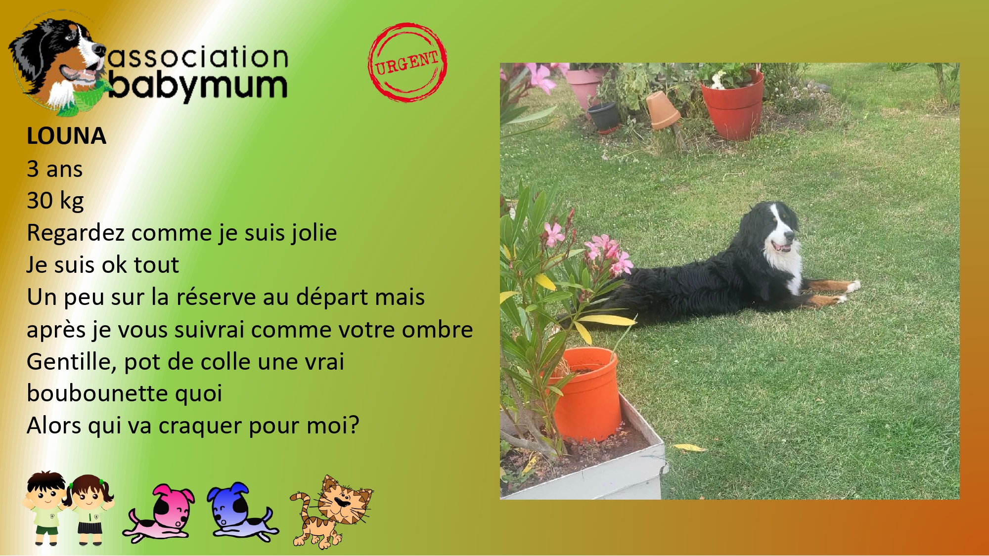 A L'ADOPTION