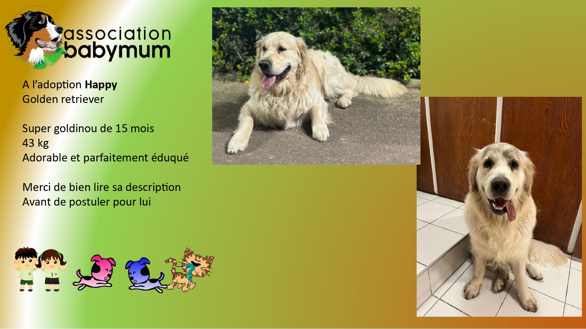 ADOPTE LE 09/06/2025