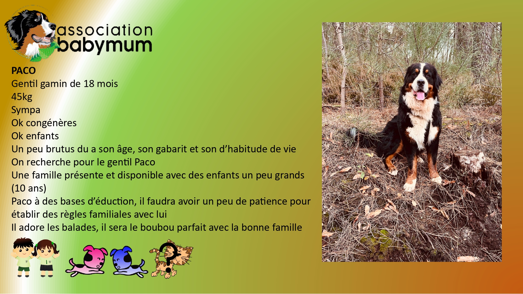 ADOPTE LE 15/06/2025