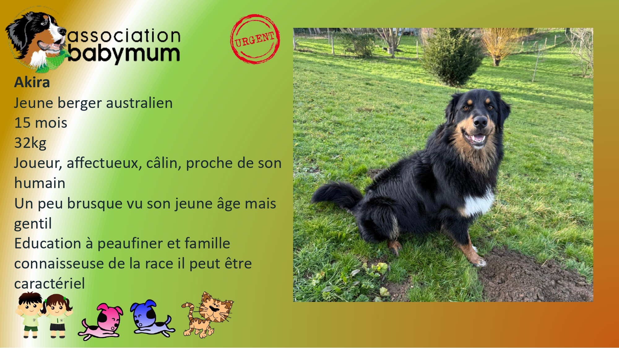 A L'ADOPTION