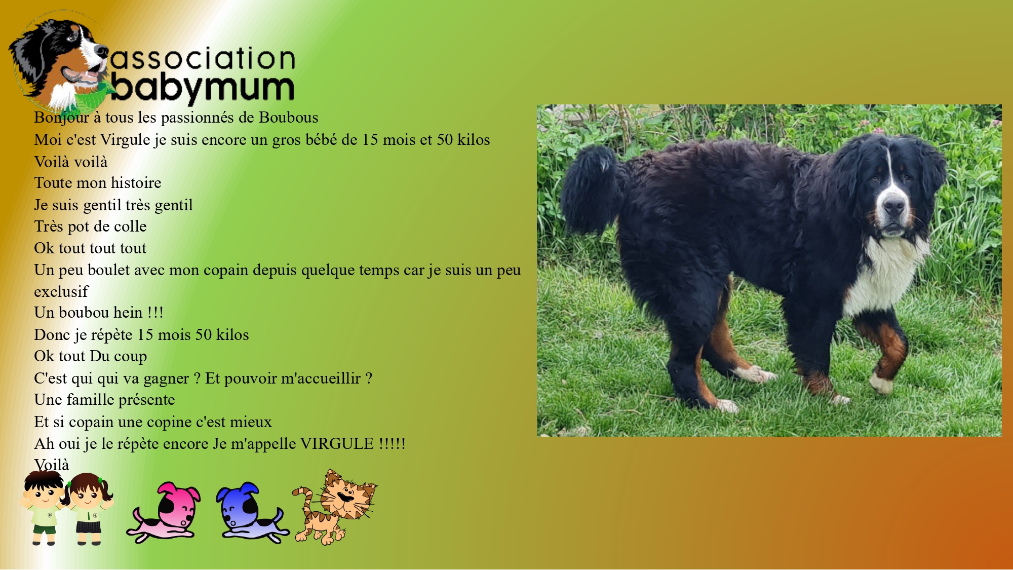 A L'ADOPTION 