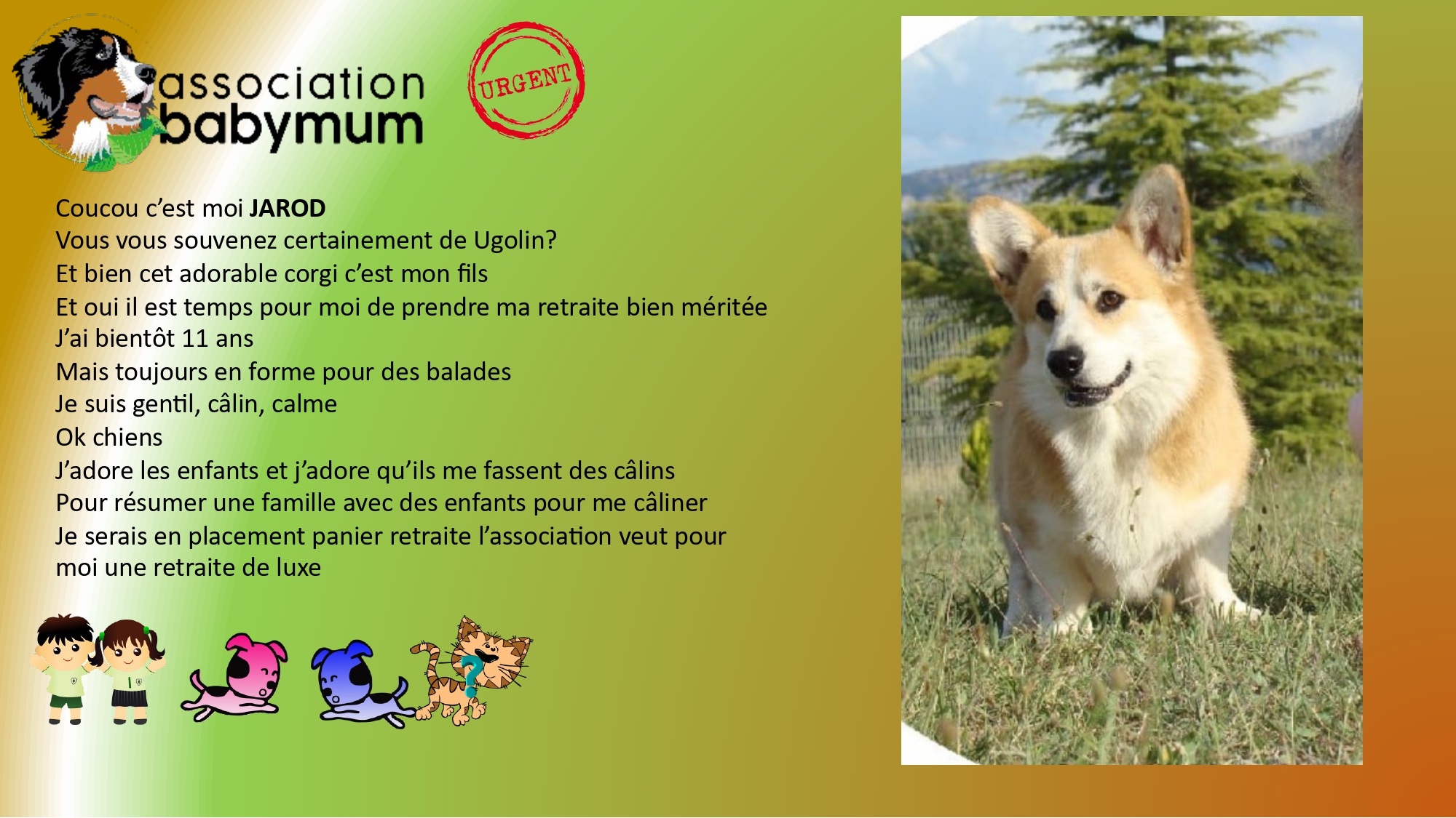ADOPTE LE 23/05/2025