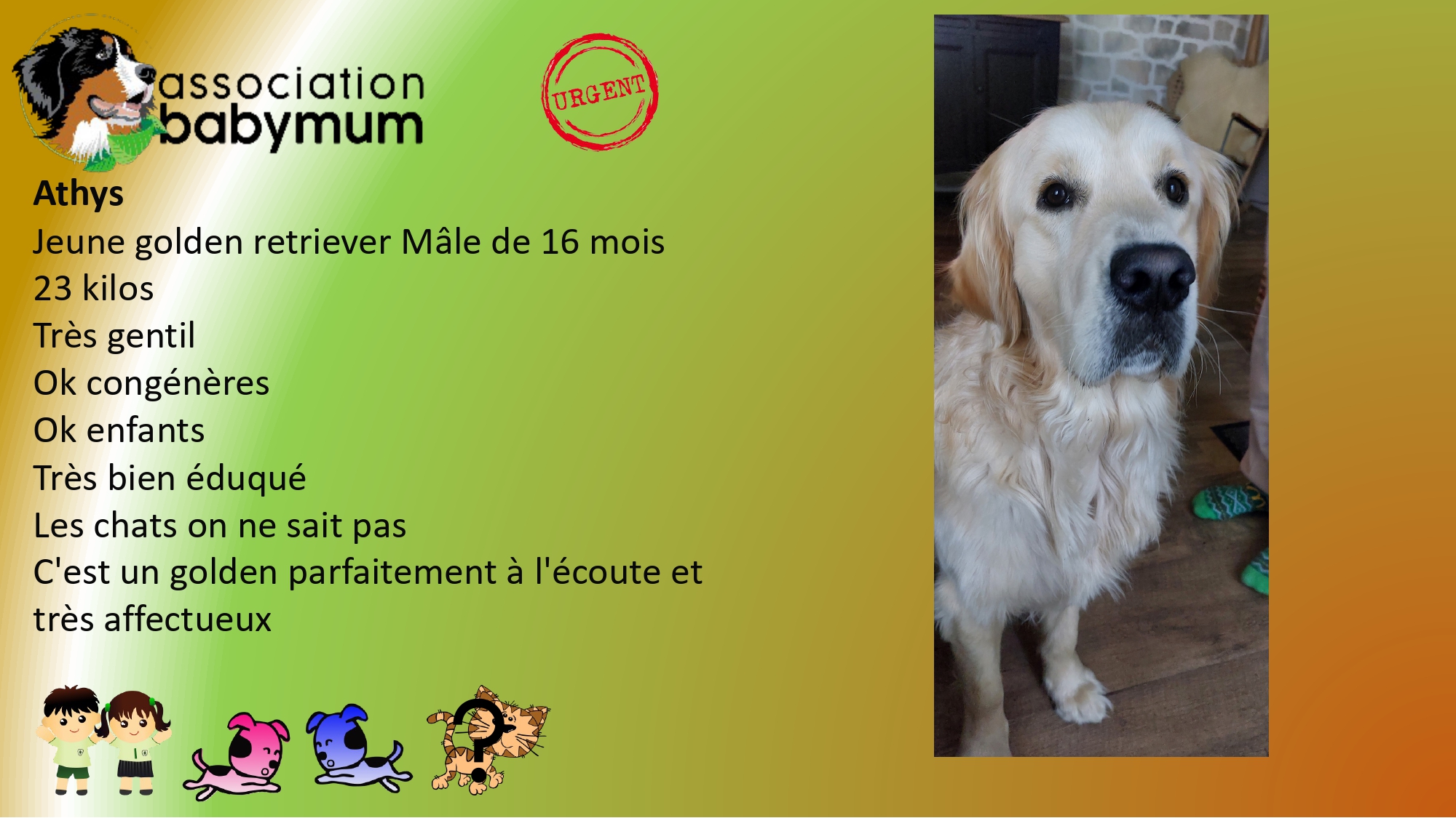 ADOPTE LE 16/05/2026