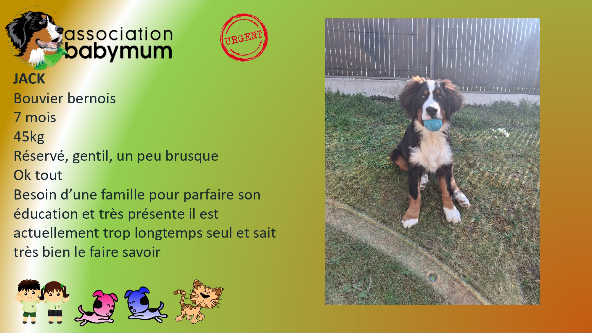 ADOPTE LE 27/05/2026