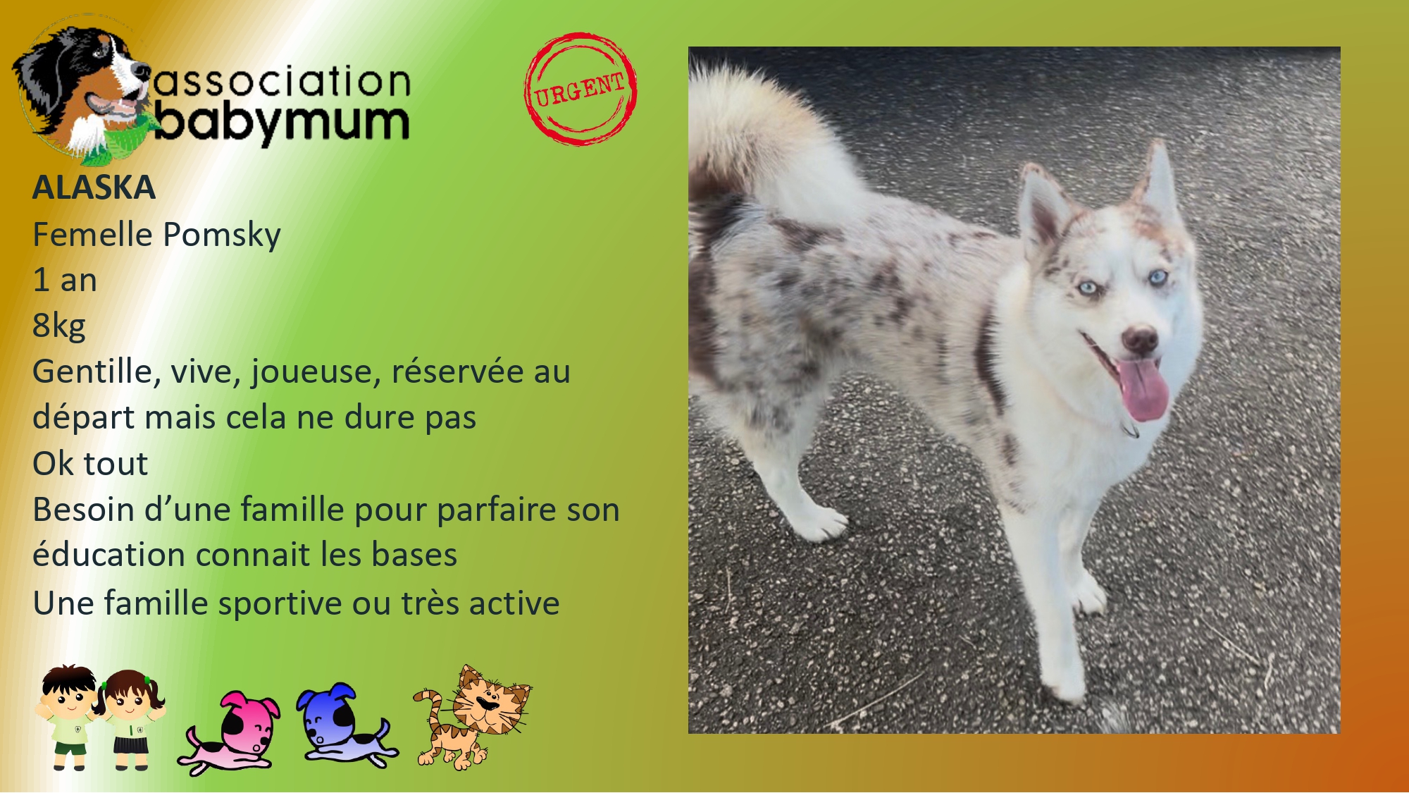 ADOPTEE LE 21/05/2026
