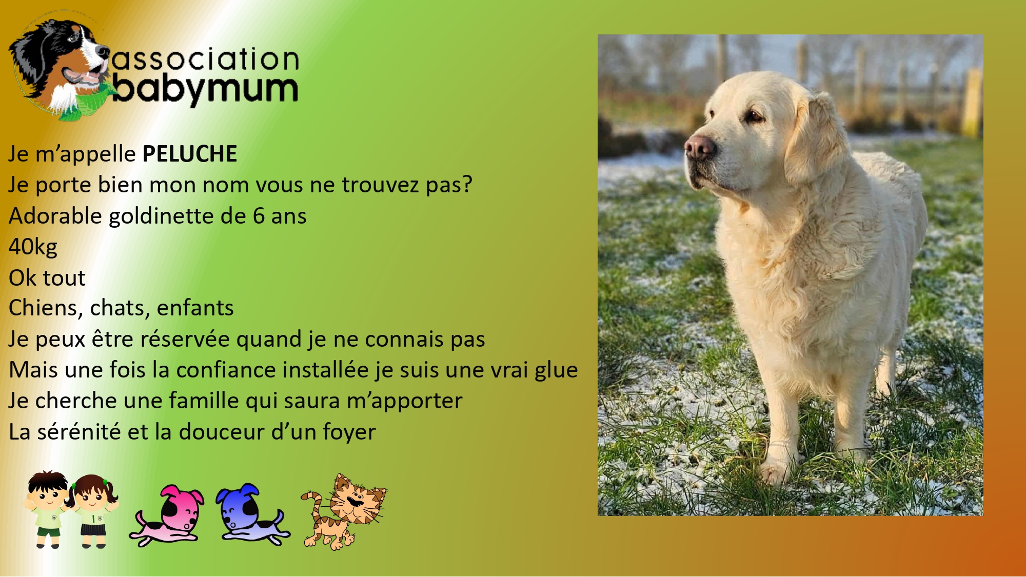 A L'ADOPTION