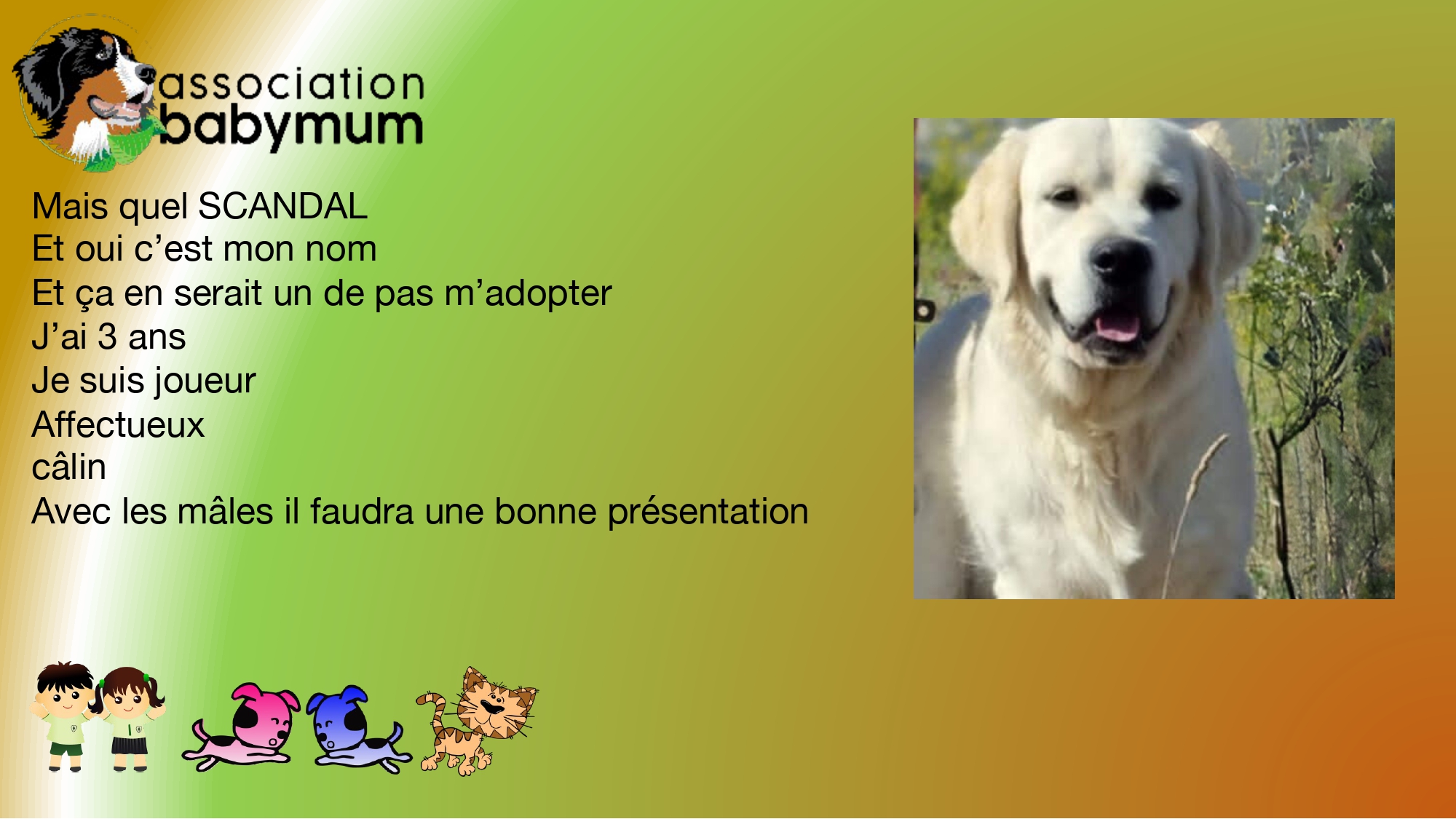 ADOPTE LE 22/01/2025