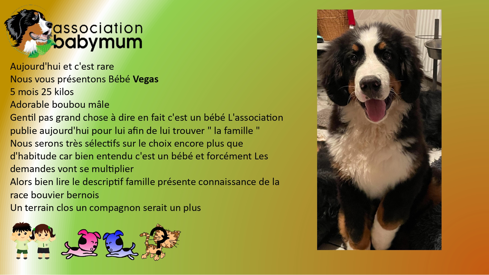 ADOPTE LE 01/03/2025