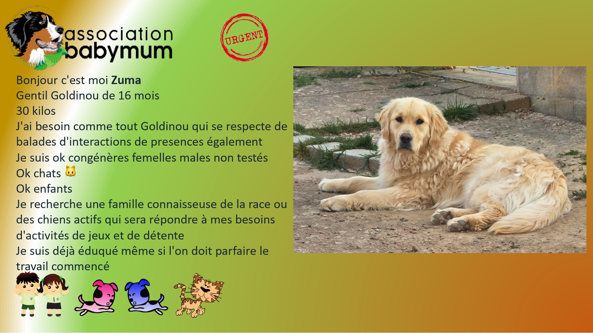 ADOPTE LE 17/05/2026