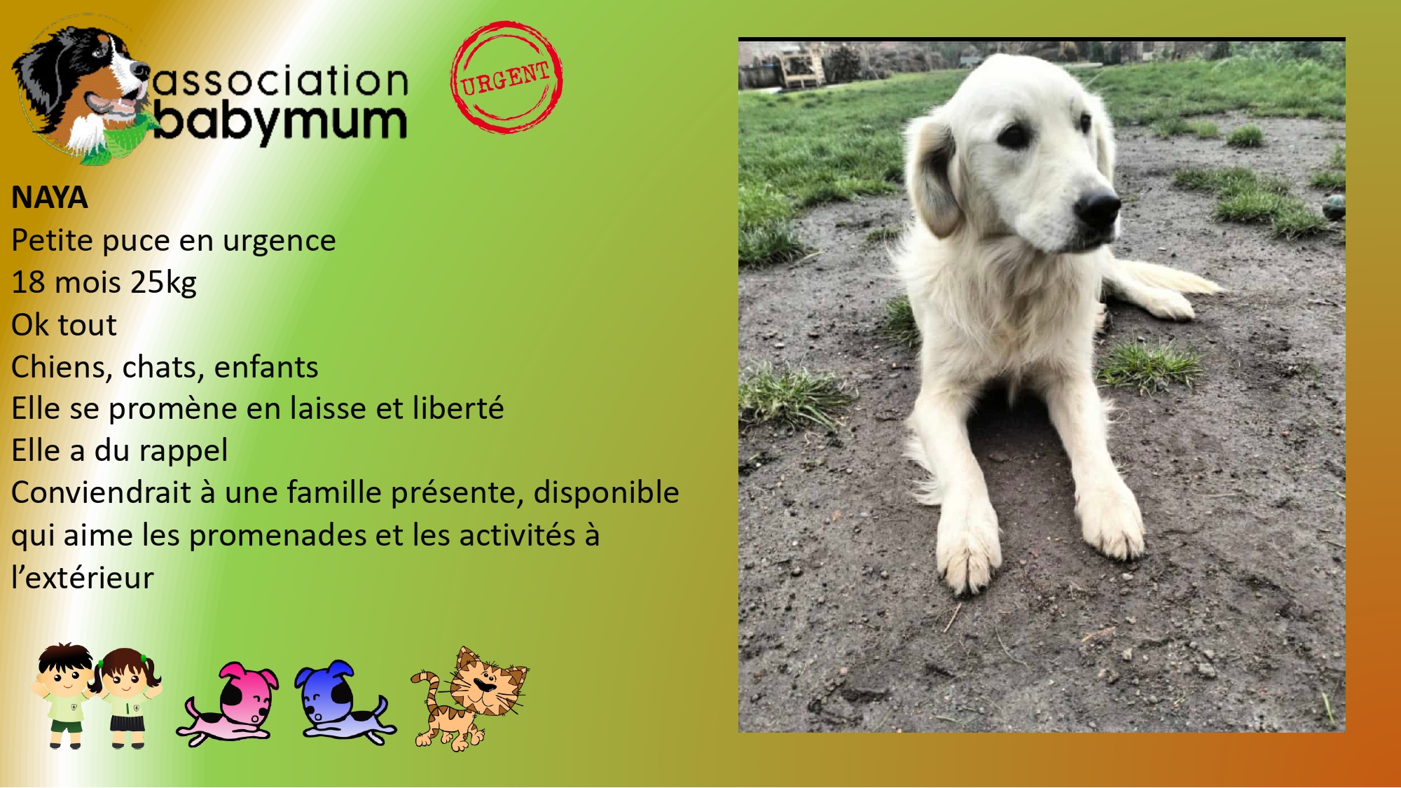 ADOPTEE LE 10/01/2026