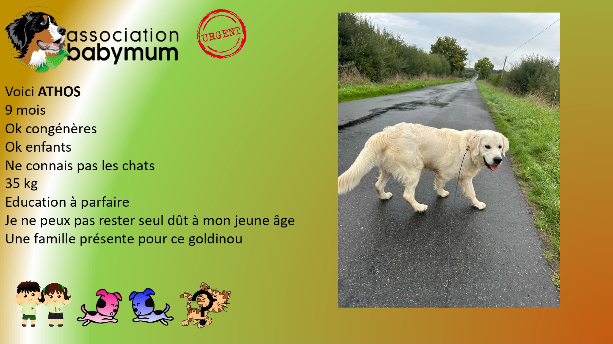 A L'ADOPTION