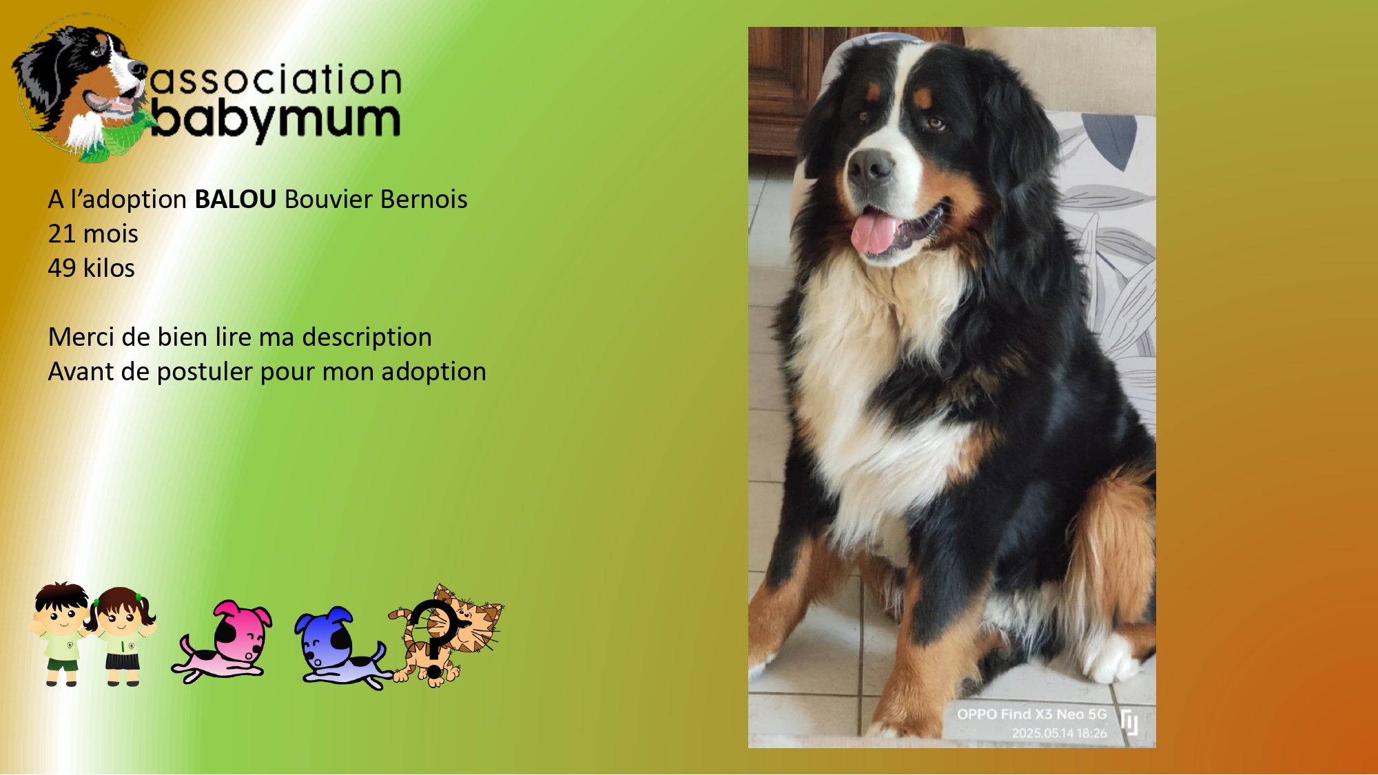 A L'ADOPTION
