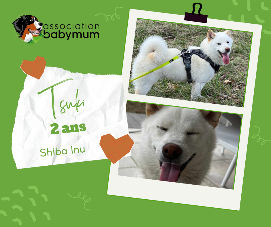 A L'ADOPTION