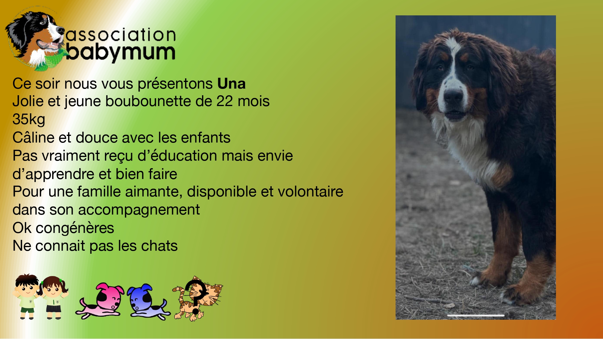 ADOPTEE LE 22/02/2025