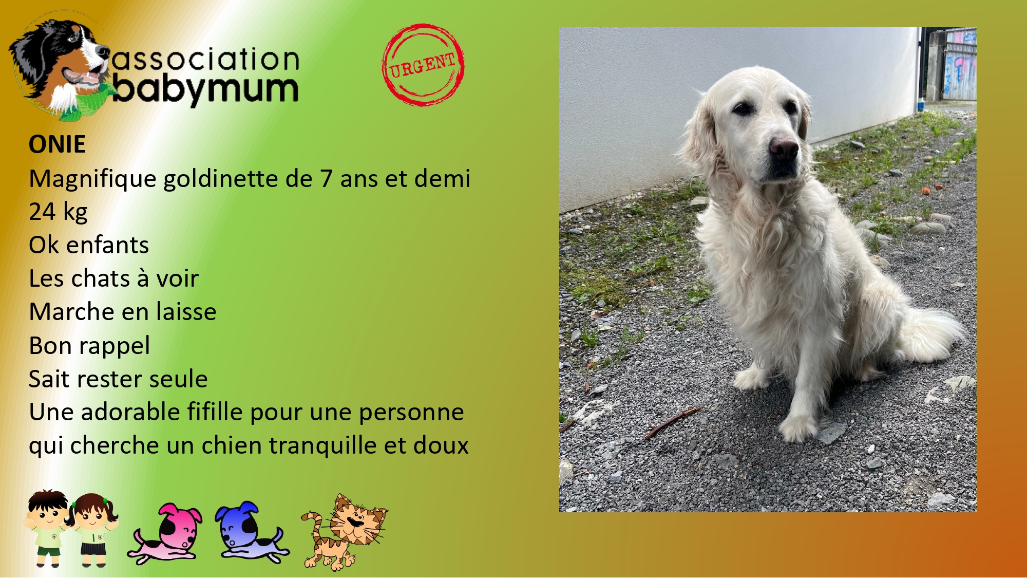 A L'ADOPTION