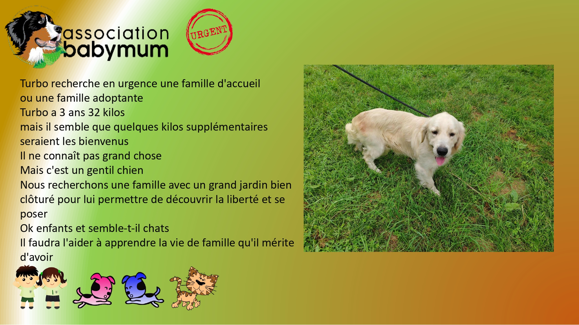 ADOPTE LE 03/08/2025