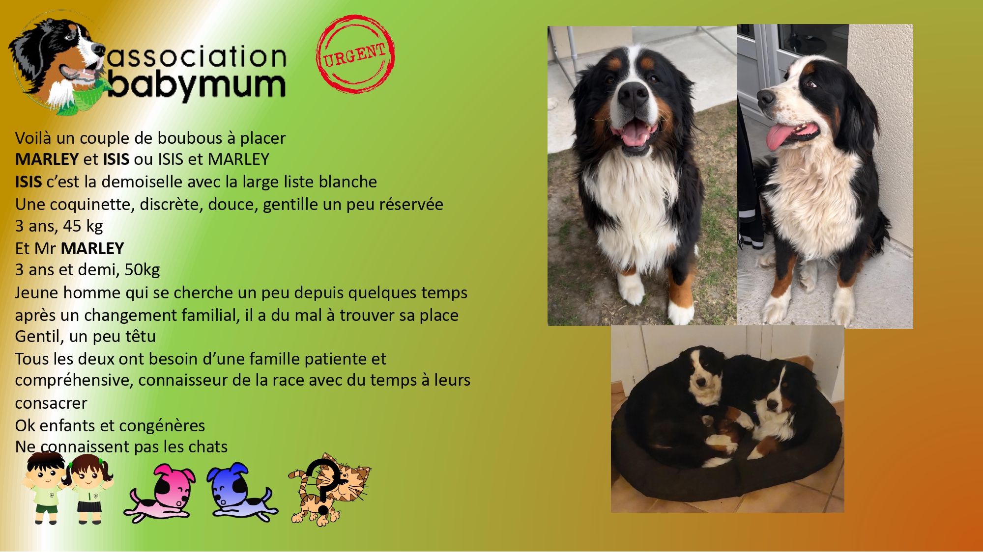 ADOPTES LE 12/09/2025