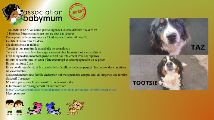 ADOPTES LE 10/01/2025