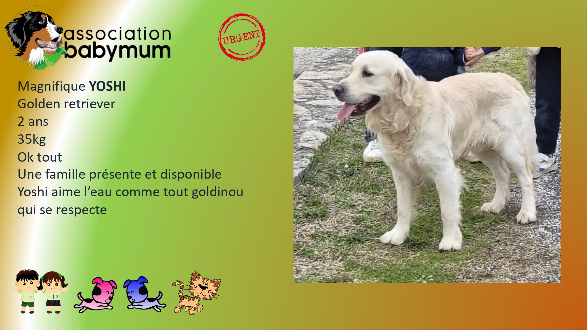 ADOPTE LE 11/04/2026