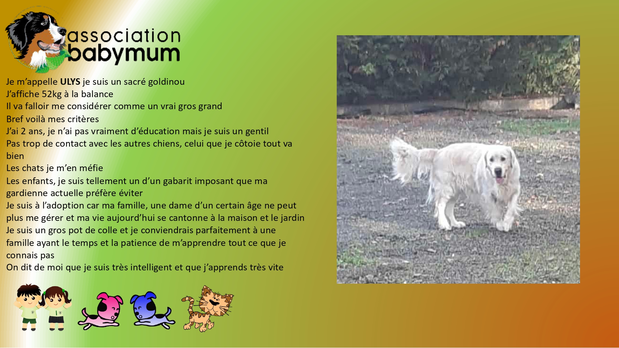 A L'ADOPTION