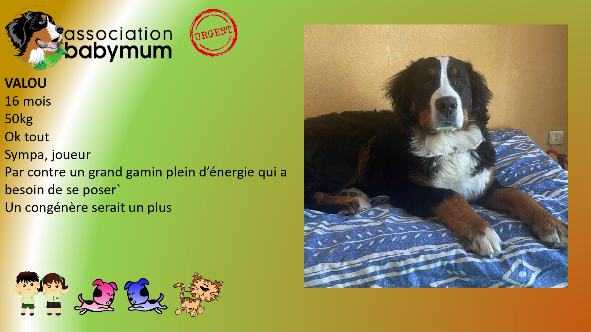 A L'ADOPTION