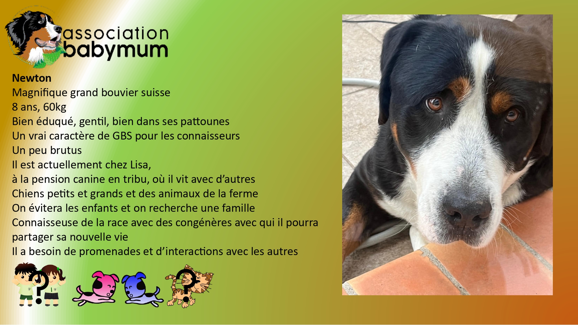 A L'ADOPTION