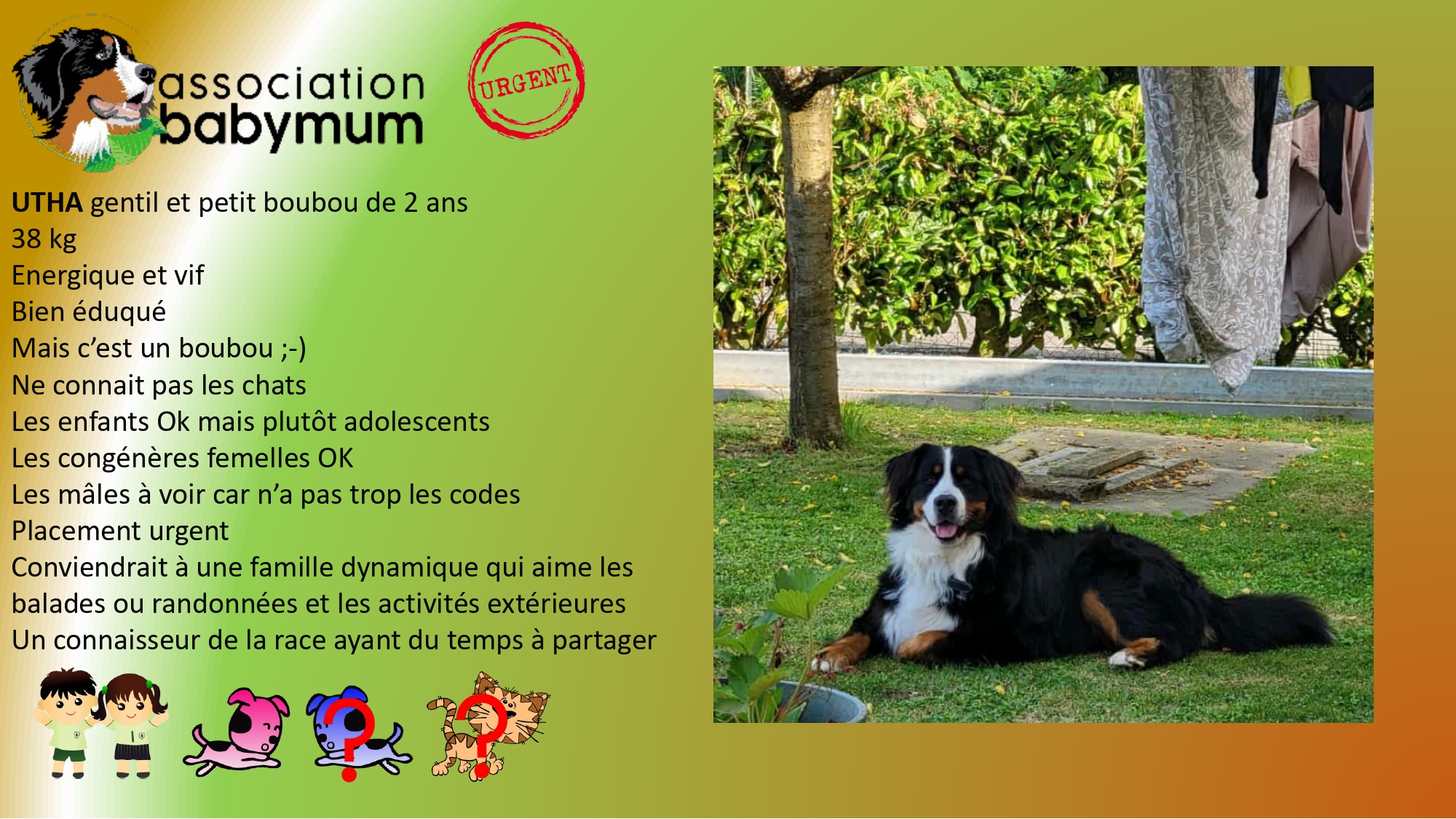 A L'ADOPTION